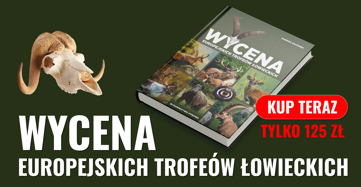 Wycena europejskich trofeów łowieckich. Dariusz Zalewski